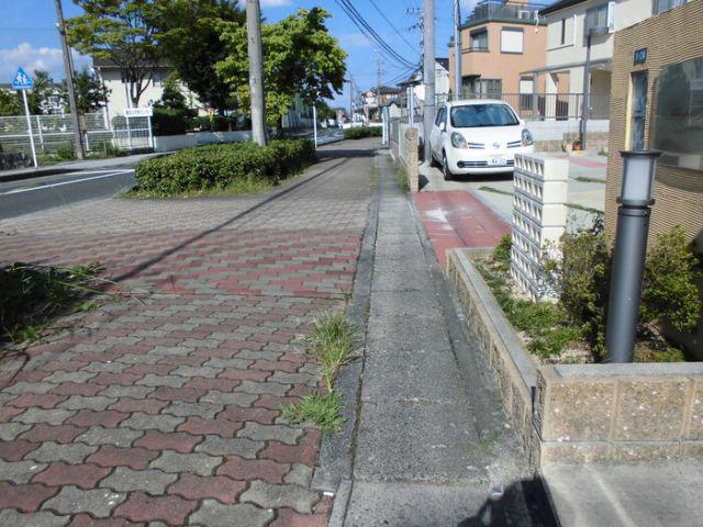 ベルジュウィット