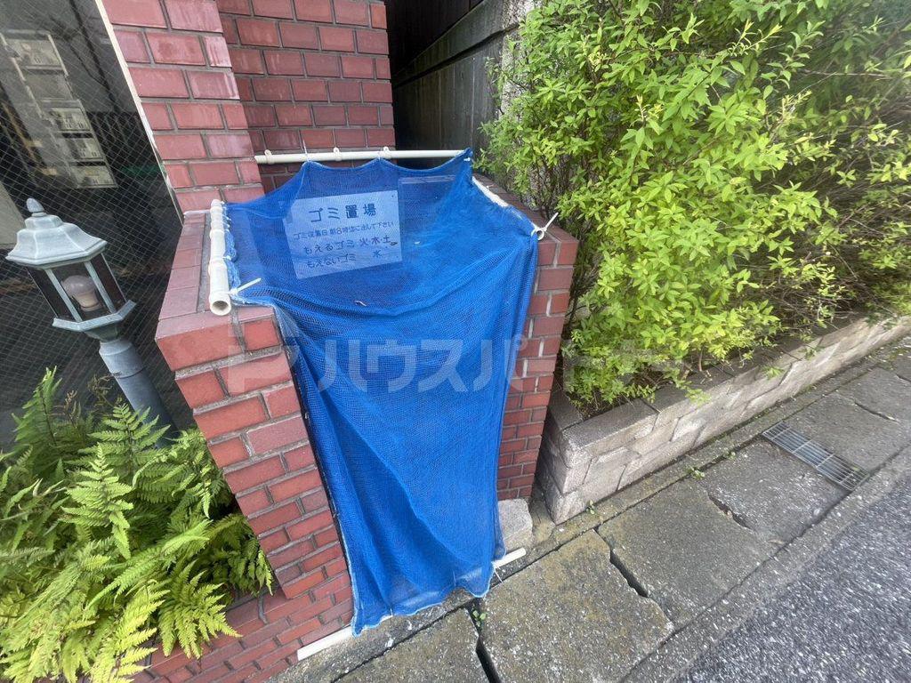 カーソルサヴァリンナ