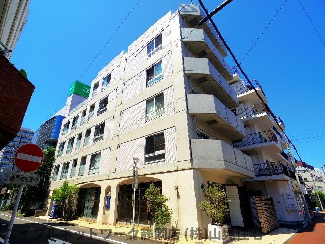 Y´S COURT