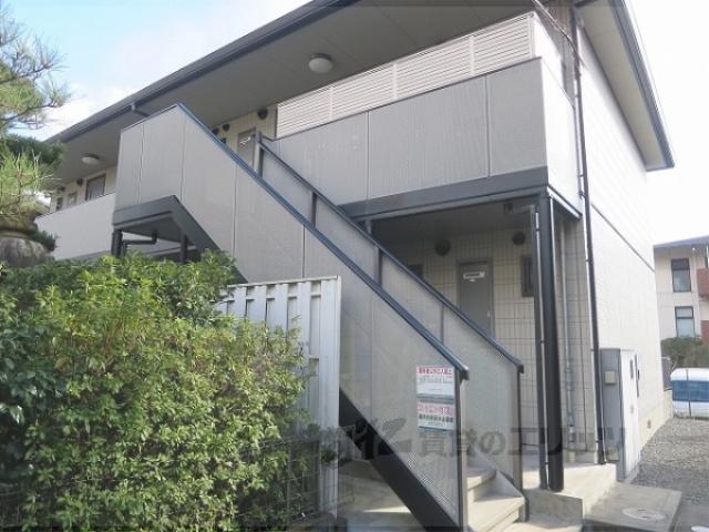 ヴィヴァーチェ杉