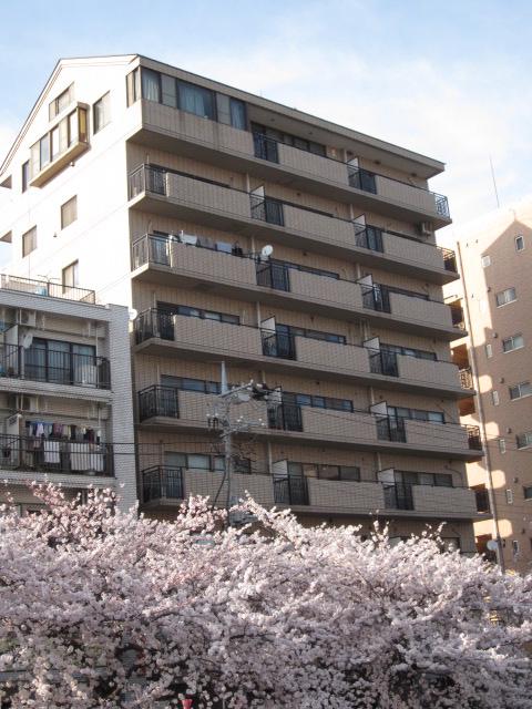バイムフルス白金I