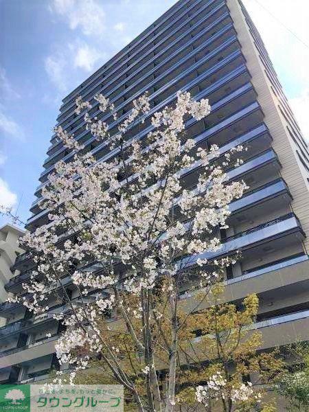 東京都品川区西五反田3丁目9-