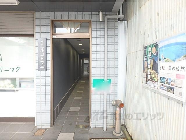 ドエルコトブキ