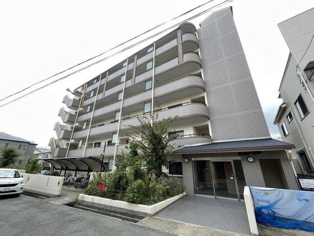 グローリー摩耶