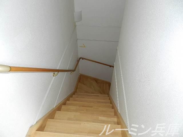 ブライトメアリーⅤ
