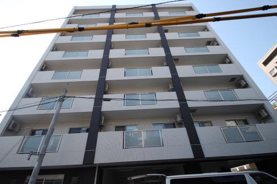 SAKURA.ISM