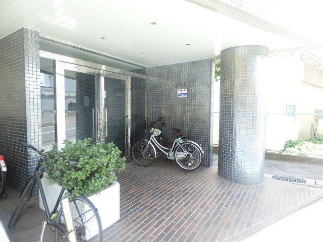 コープシャロワ