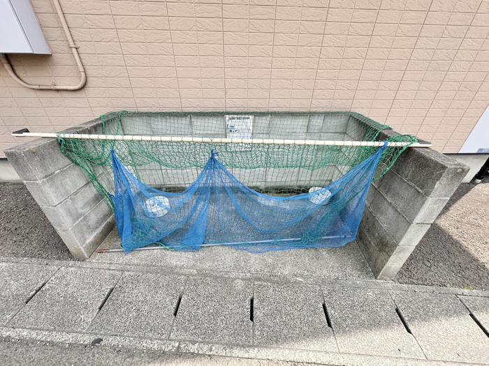 ブランコートII