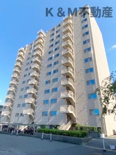 T S GARDEN北柏 2号棟(2LDK/11階)
