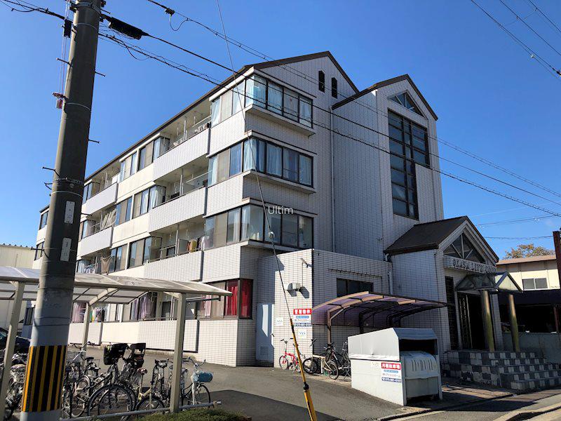オザサライブコープ