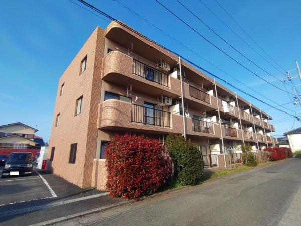 川崎マンション(2LDK/1階)