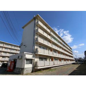 IT梅満II