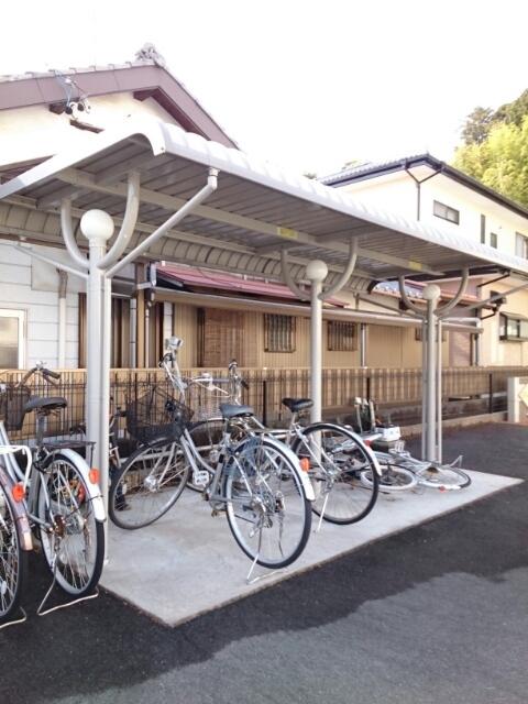 フィオリース.3
