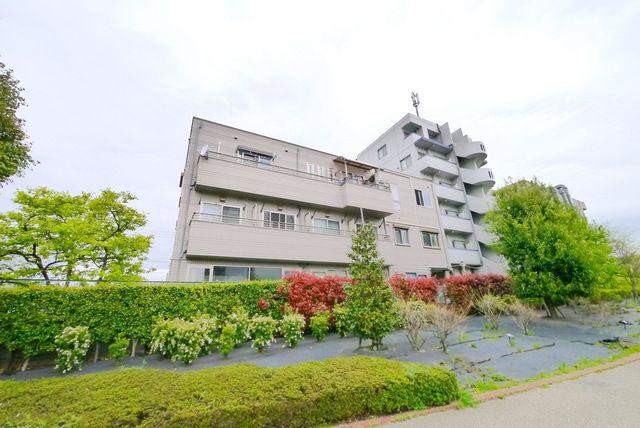 オラシオン
