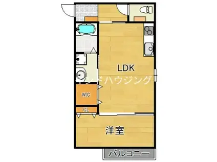 マサコートハナ(1LDK/1階)の間取り写真