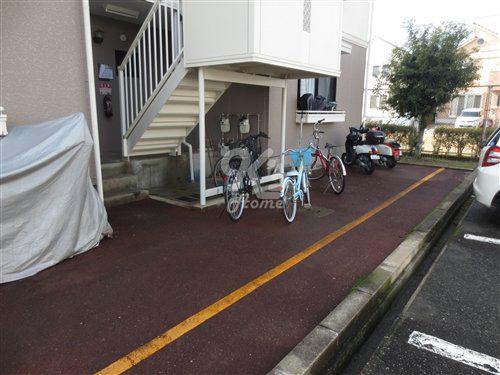 ネオアネックス