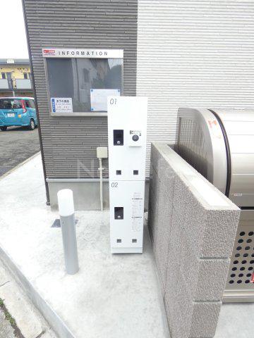 アムールM