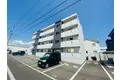 ステラ石川