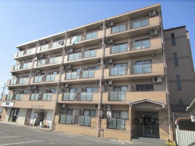APEX FLAT