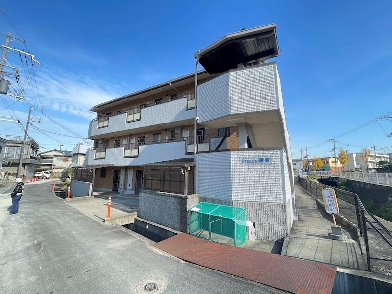 ステラ幾野