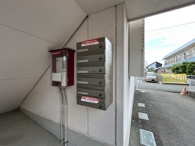 カトレア