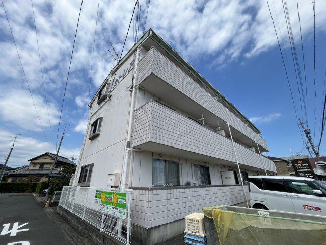 カトレア