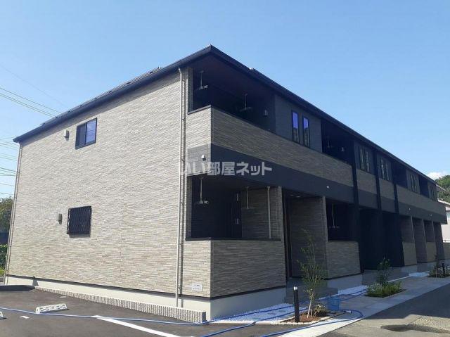 アイリス パディ