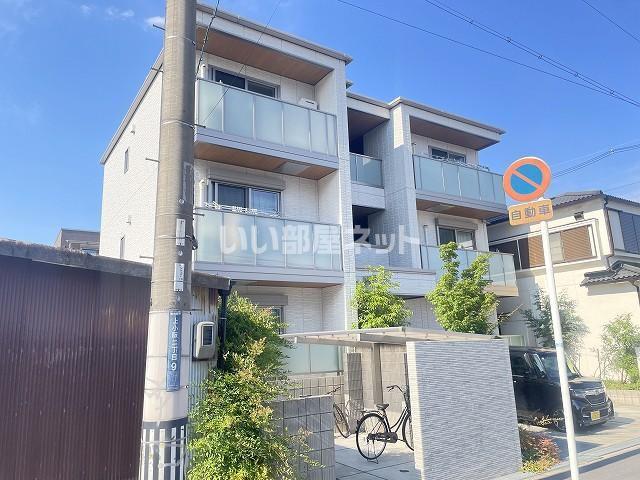アムール ジュネス