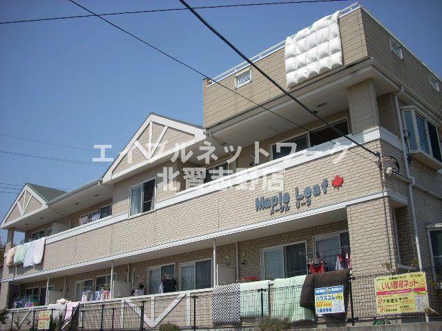 メープルリーフ