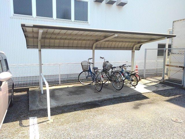 マリッチYSC