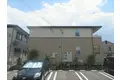 グレイス