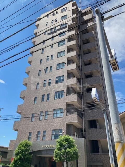 ルビアス野田