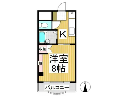 ペガサス座エニフ(1K/1階)の間取り写真