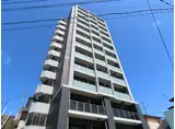 ヴィオラ花丘