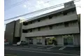 メープルガレ