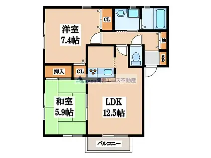 メゾンボヌール(2LDK/1階)の間取り写真