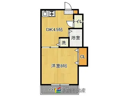 冨士コーポラスII(1DK/1階)の間取り写真