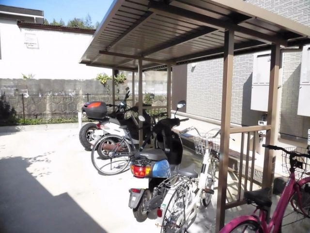セイリン