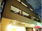 ANIMO笹塚