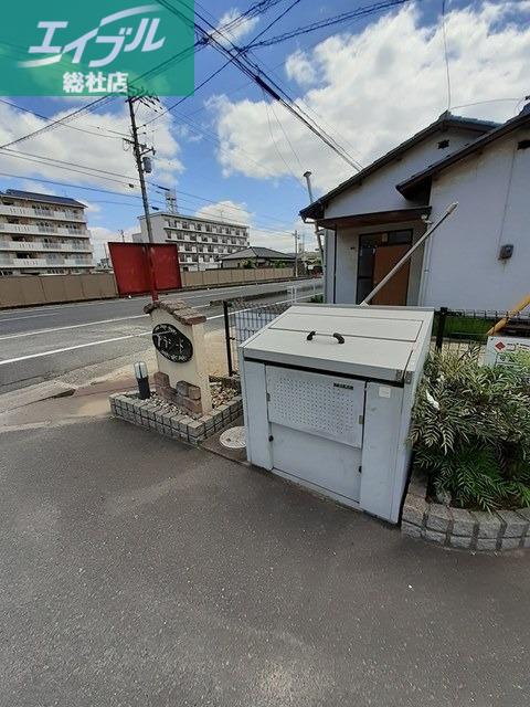 プラシード