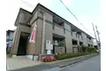 コージーコート