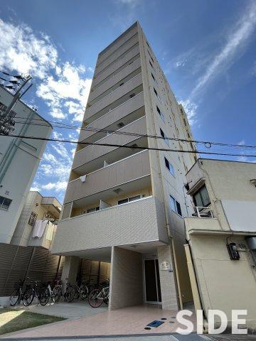 DAP千林
