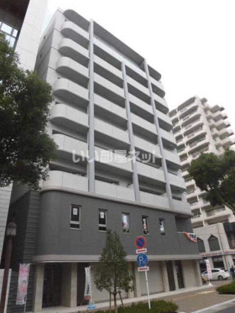 D FOREST 甲南