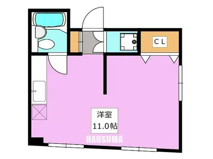 アイビス早稲田マンション(ワンルーム/3階)の間取り写真