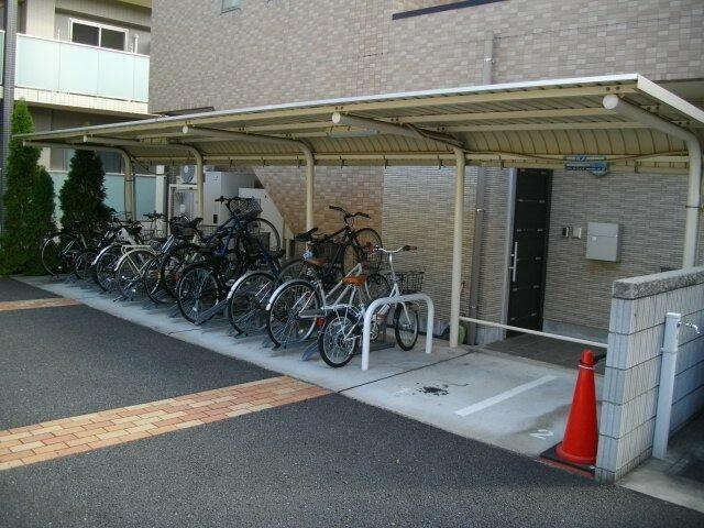 エクセルコート