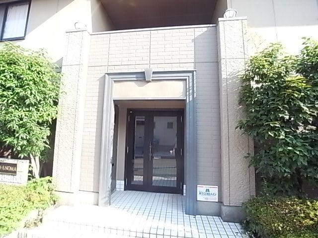 フレマリールNOMA