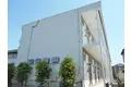 グリーングラス