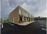 ガーデン・アイリス