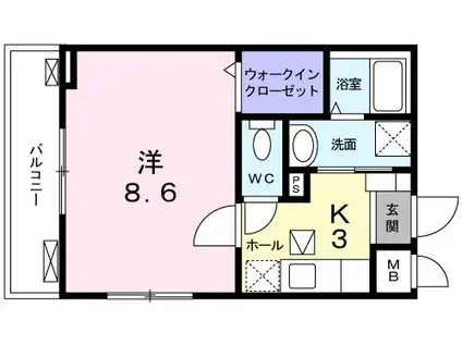 メゾンプラターヌ(1K/1階)の間取り写真