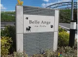 ベル アンジュ